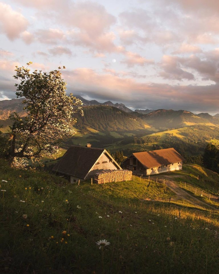 The serene Swiss Alps