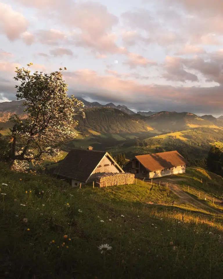 The serene Swiss Alps