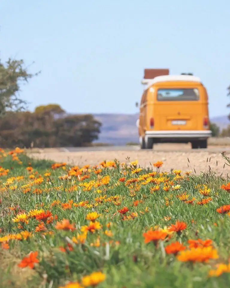 Dream # 142: buy a van and go to Australia's sunny coast