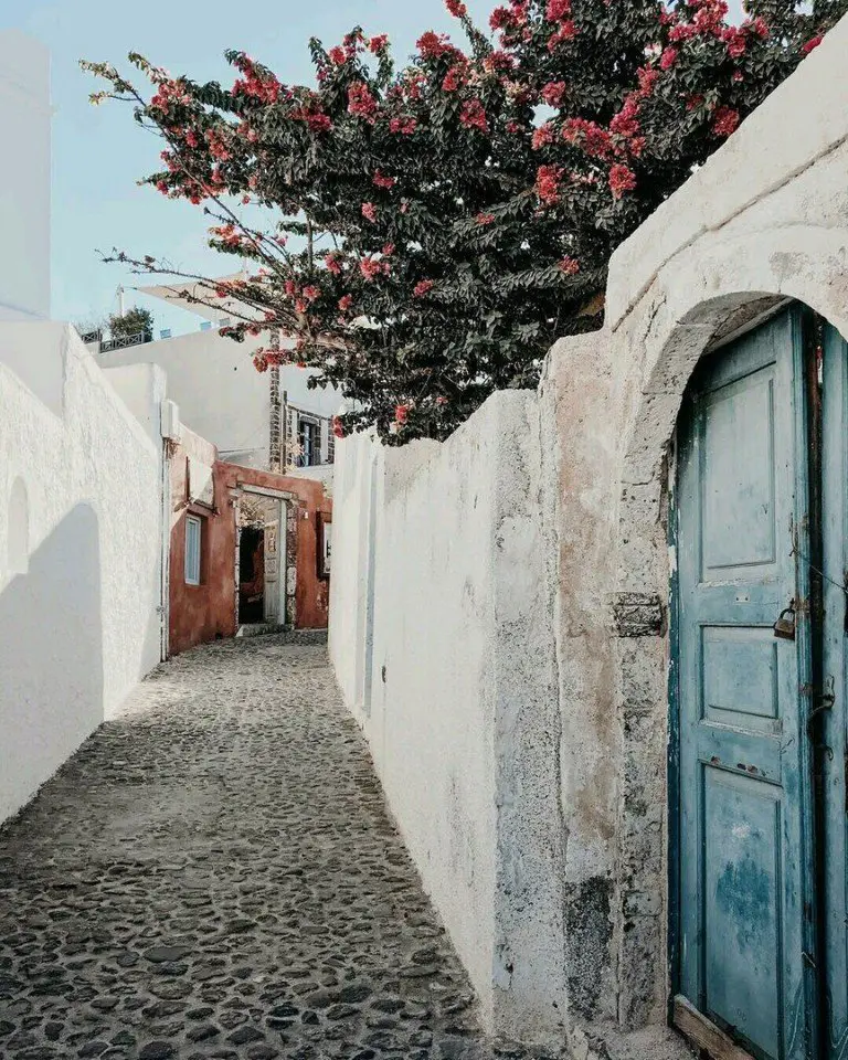 Send me to Greece for fresh olives