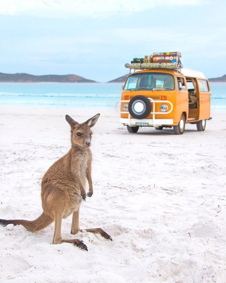 Мечта № 142: купить фургончик и отправиться на солнечное побережье Австралии