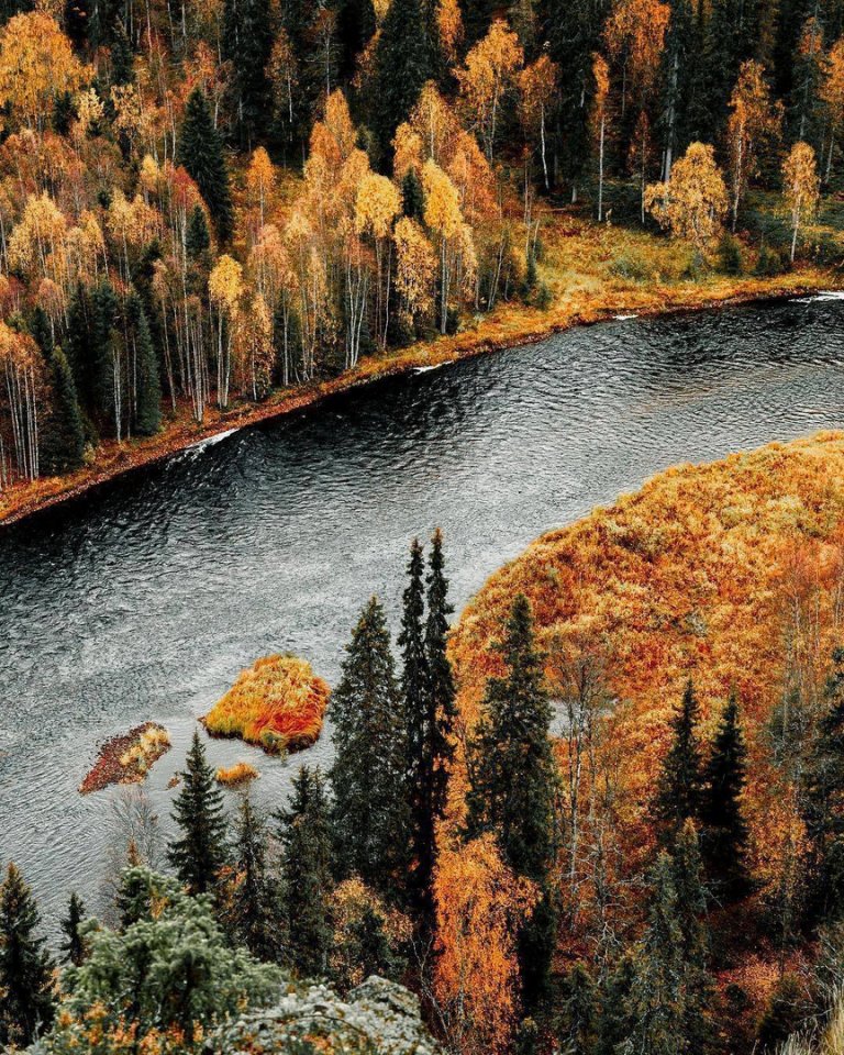 Autumn gold of Finland