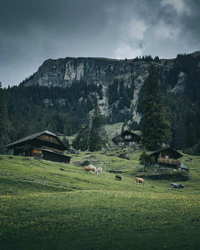 Холодное очарование Швейцарии
