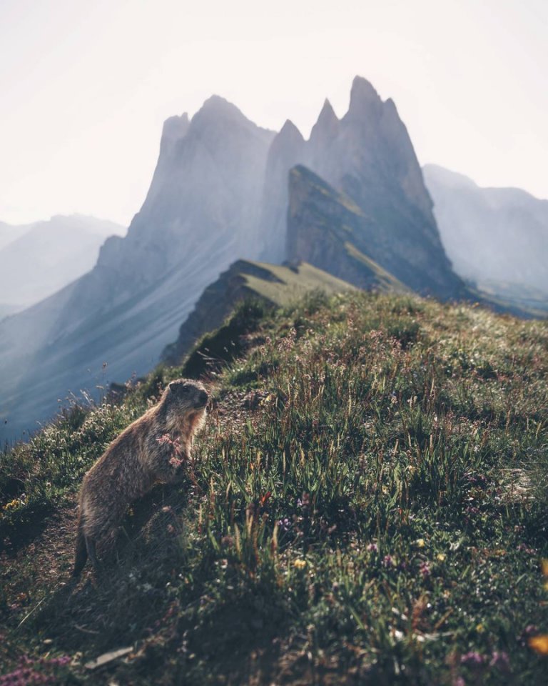 Italy and the mountains - what could be more beautiful?