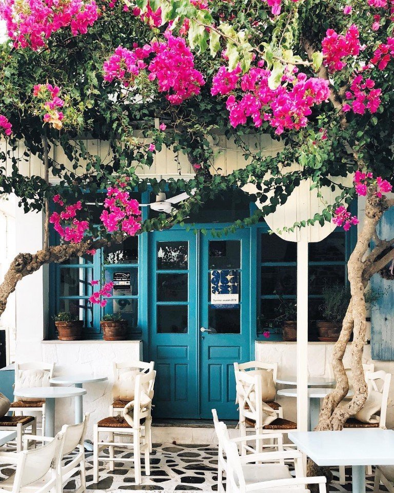 Хочется уехать в Грецию, кушать оливки и наслаждаться жизнью