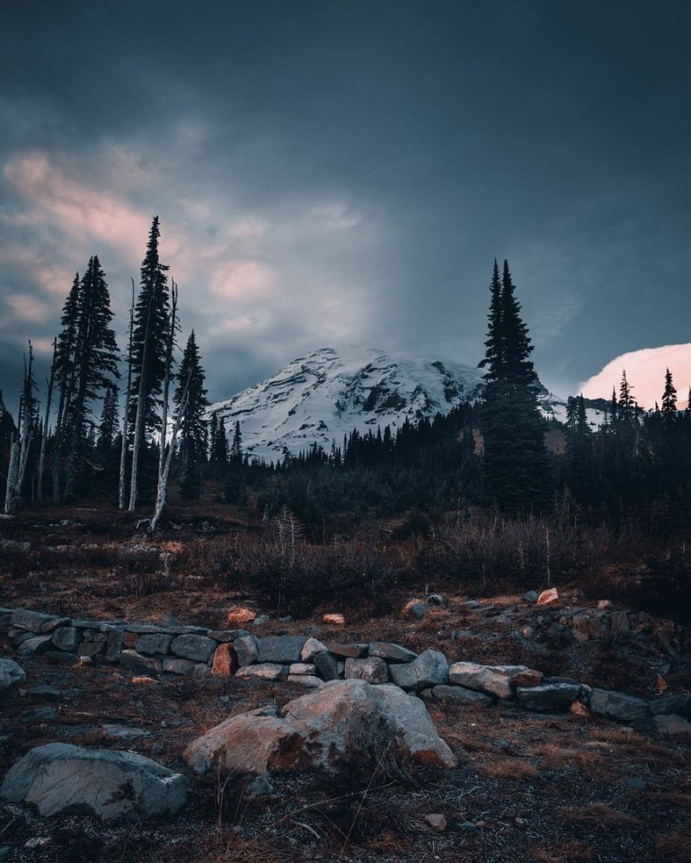 Dense forests of Washington, USA