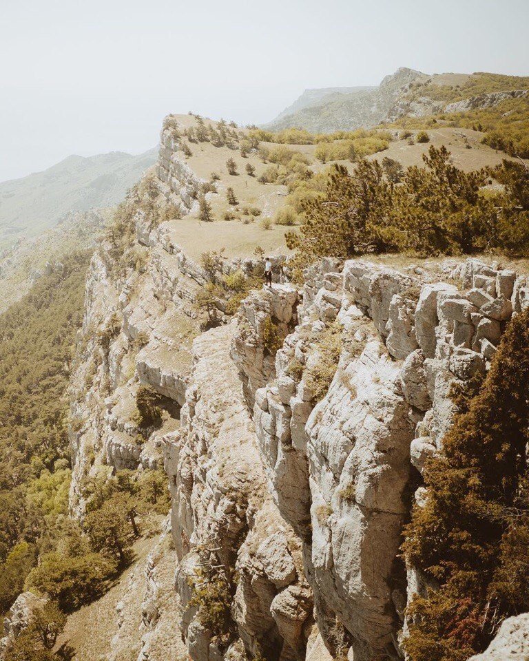 When everything is sick, just go to the Crimea