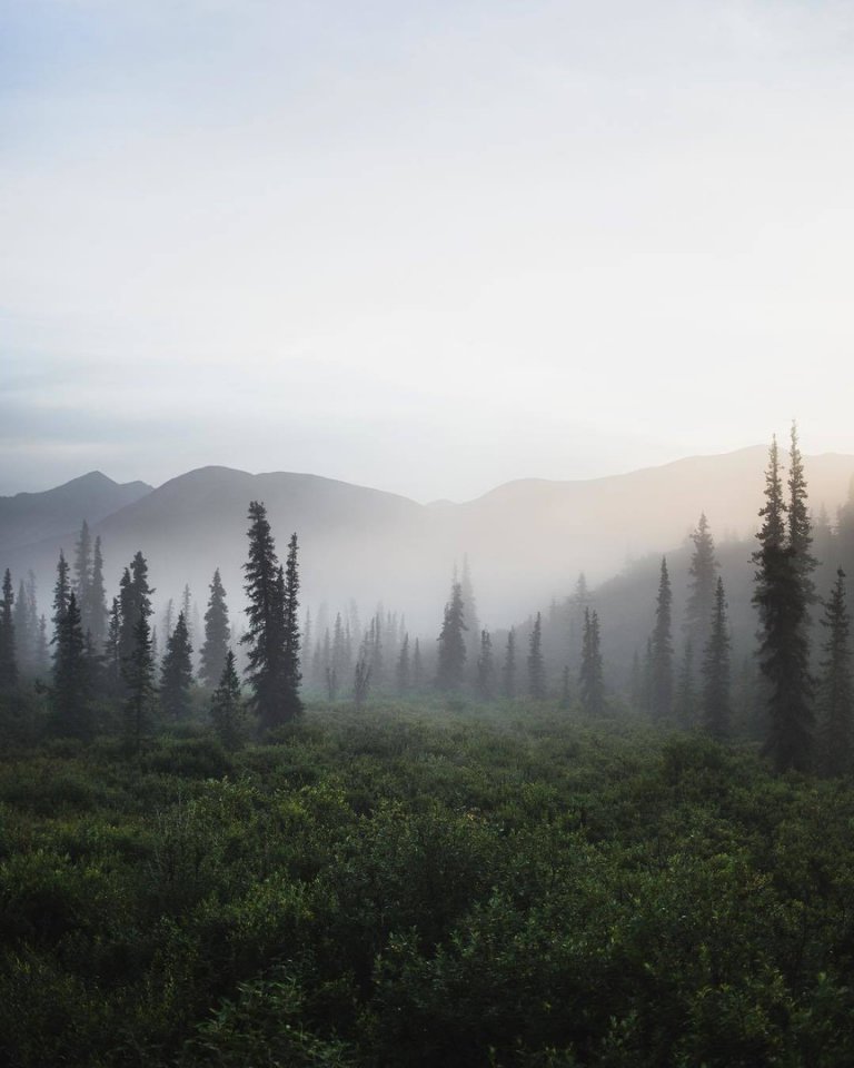 Nordic Beauty Alaska