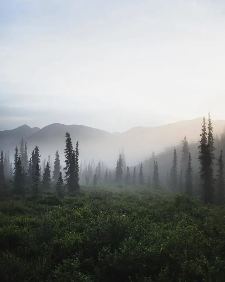 Nordic Beauty Alaska