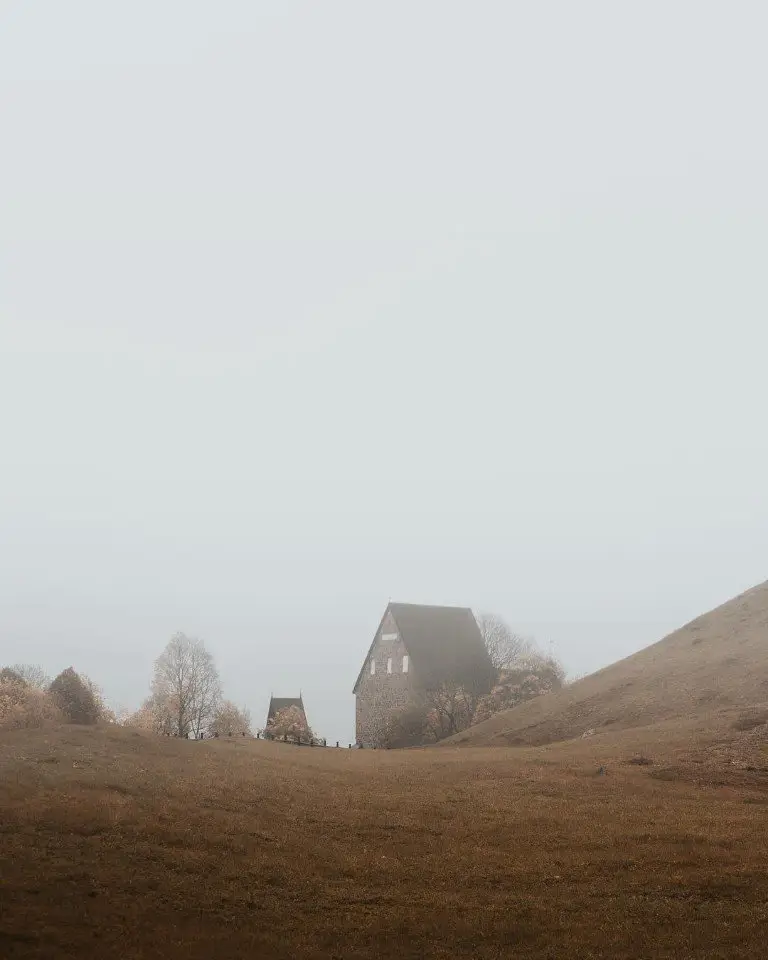 Туманное осеннее очарование