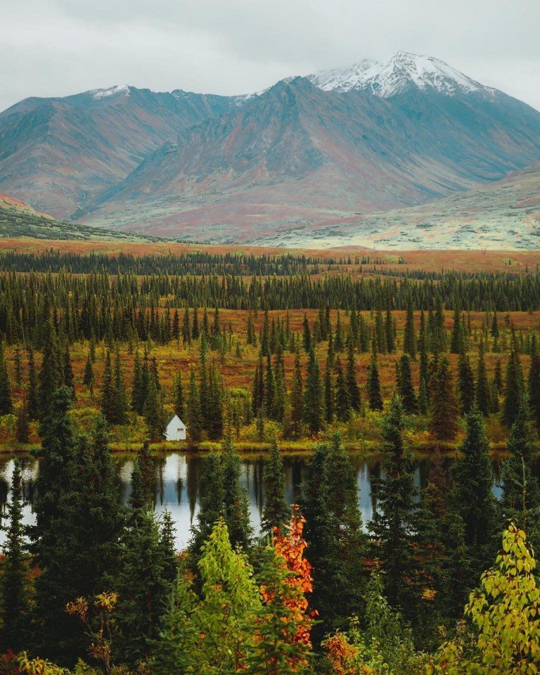 Forest and mountains - a great combination!