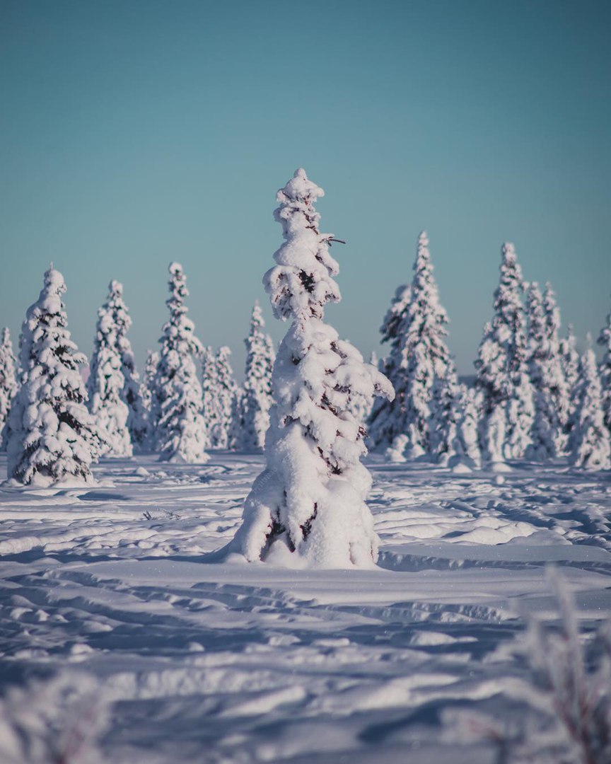 Alaska