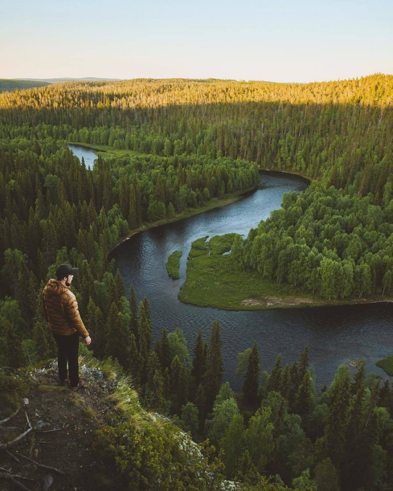 Красота финского леса