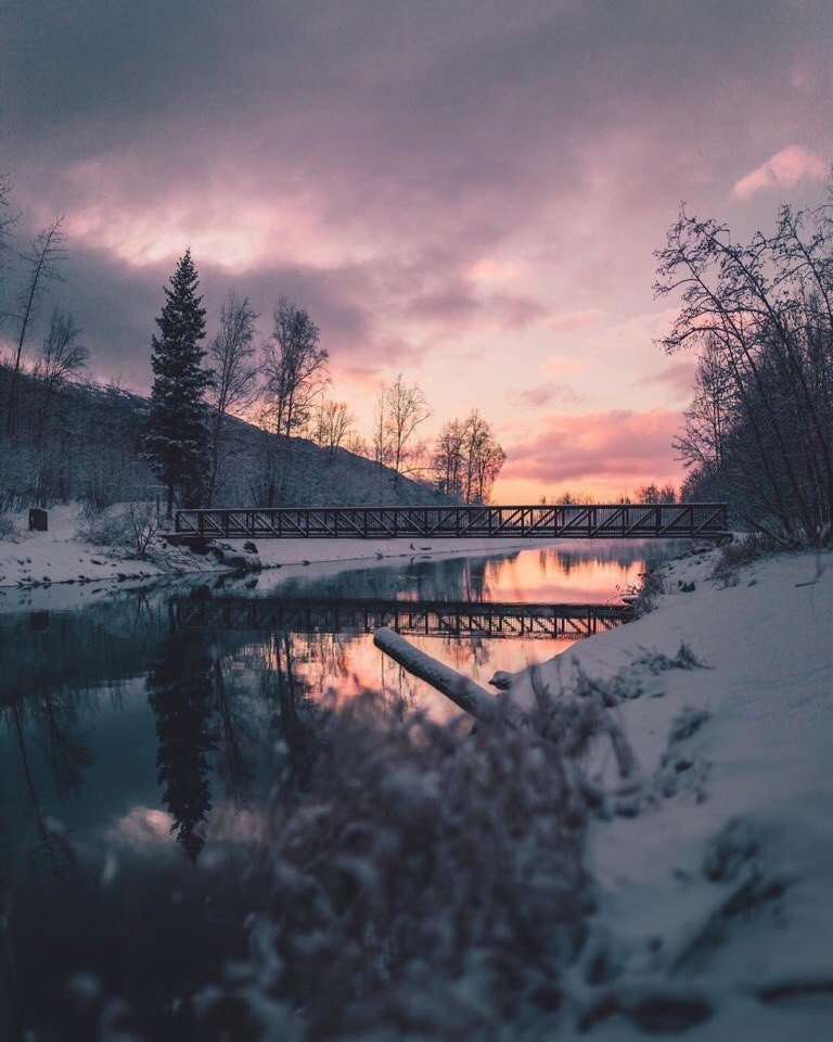 Очарование холодной Аляски 