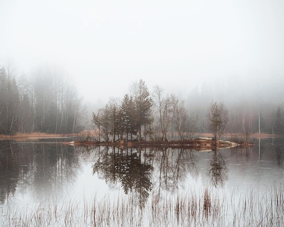 Misty autumn in the Swedish outback