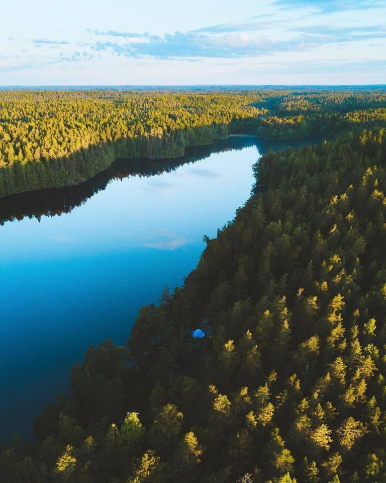 Красота финского леса