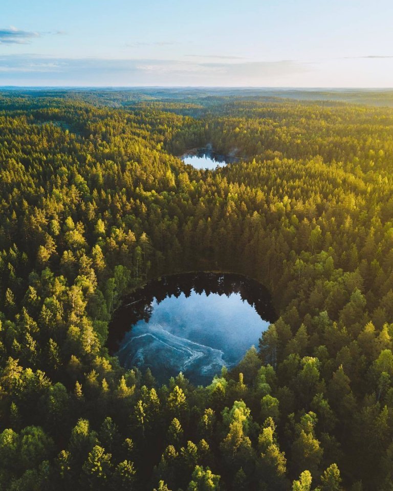 Красота финского леса