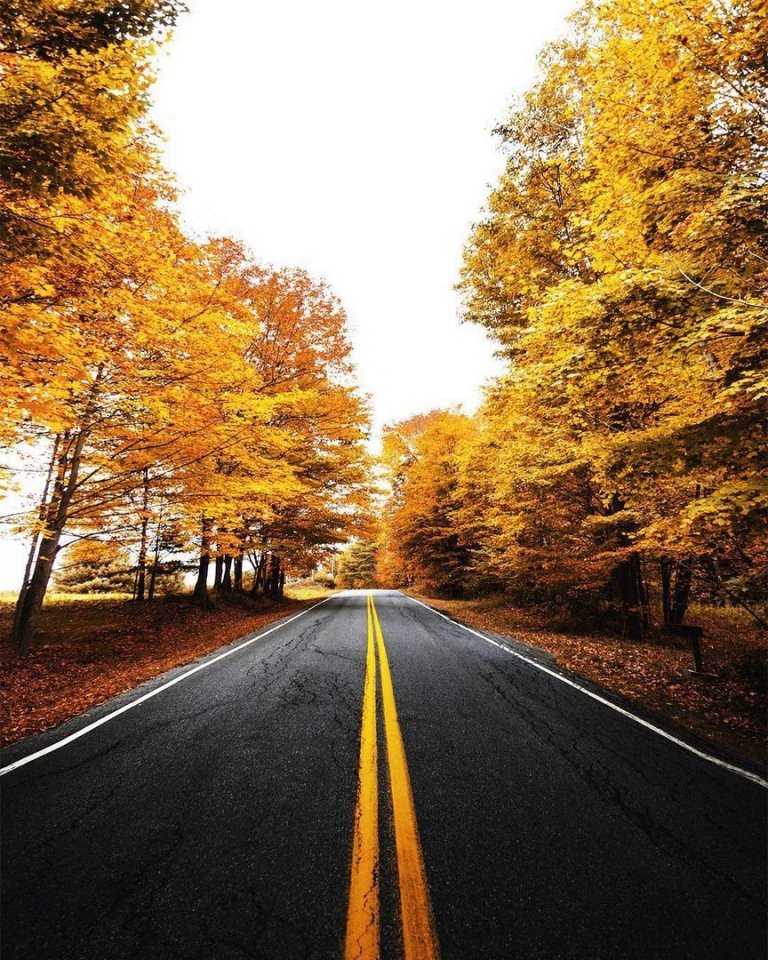 Autumn colors of Canada