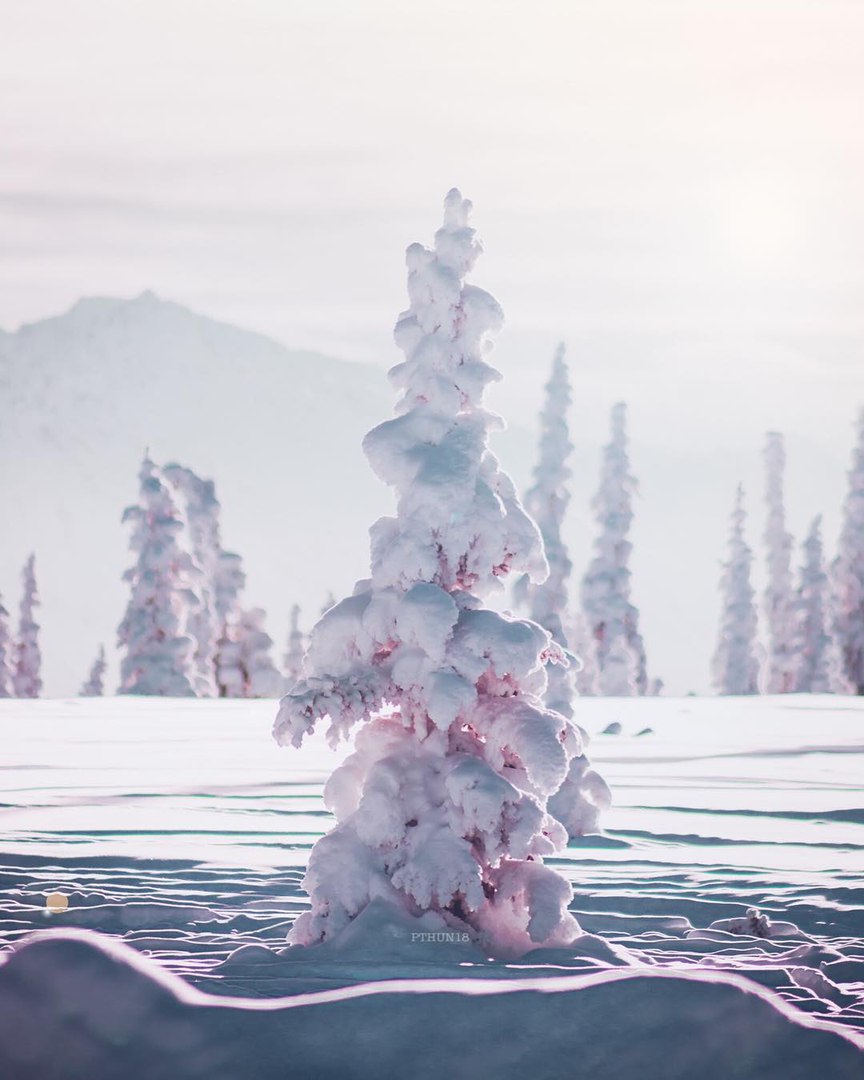 Alaska