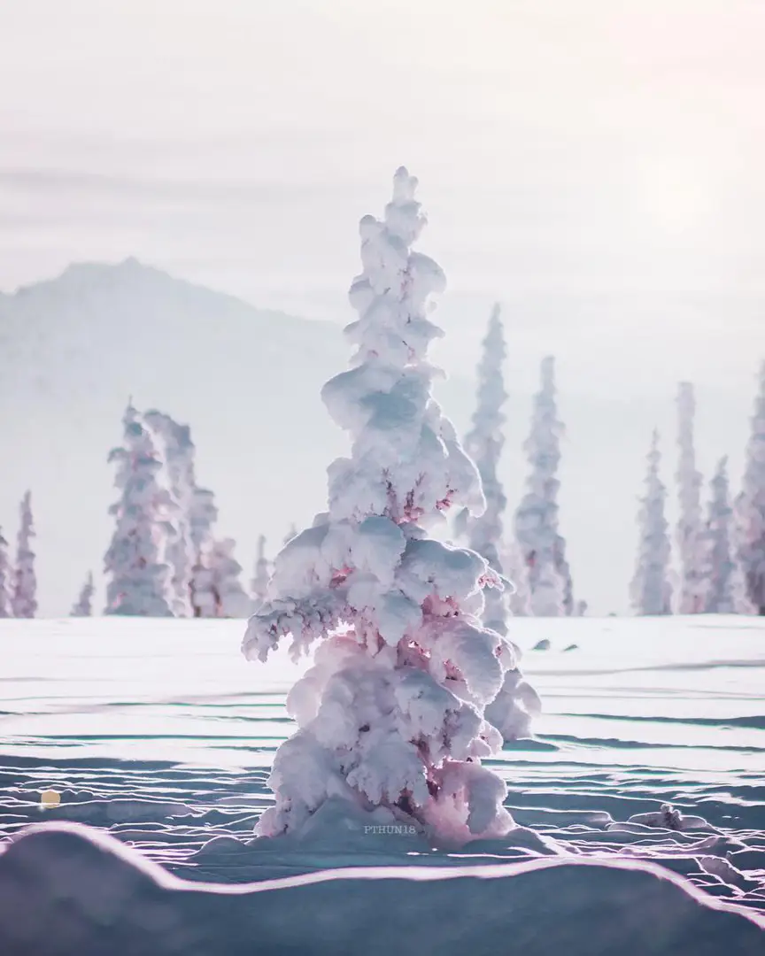 Alaska