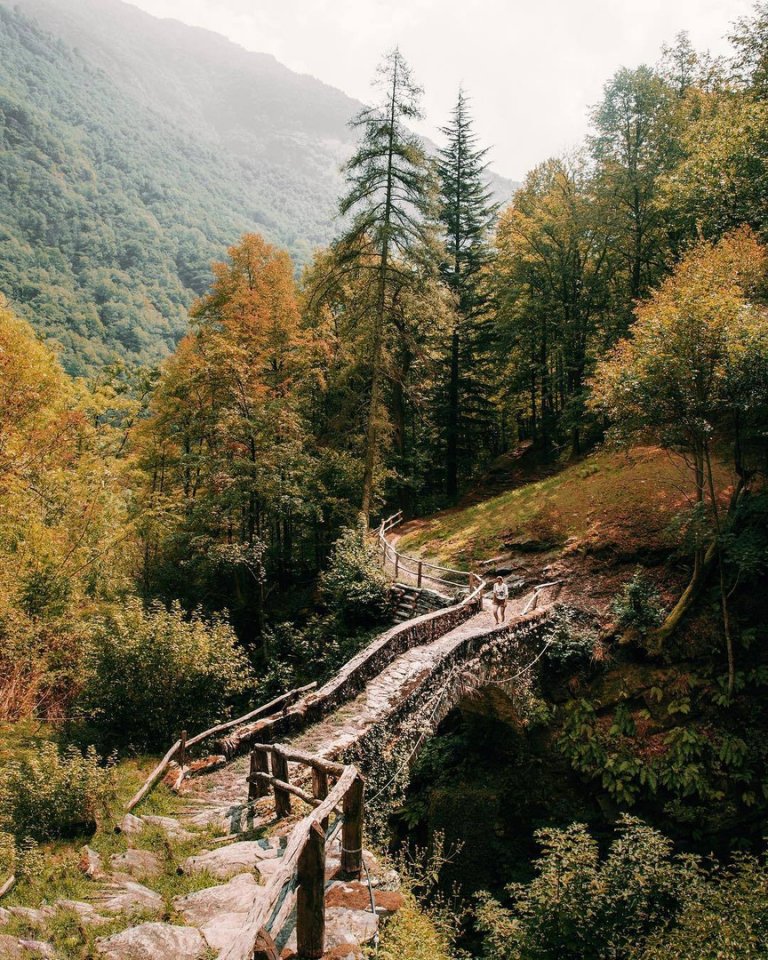 Swiss Alps are created for introverts.