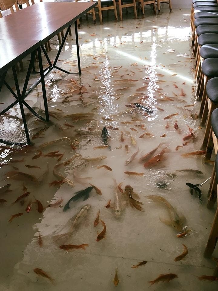 Кафе в Хошимине, в котором пол превратили в бассейн для рыбок
