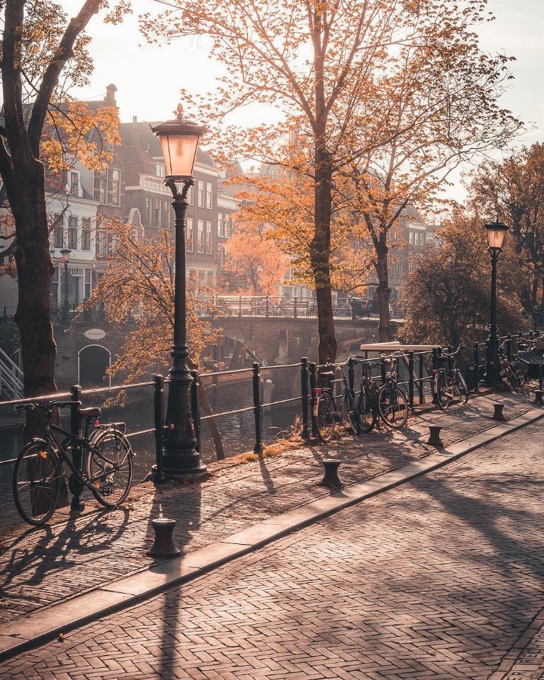Сейчас бы ходить по тихим улочкам Амстердама
