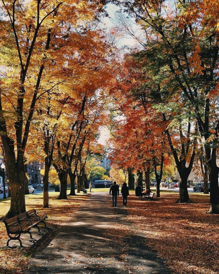 Melancholic Autumn Boston