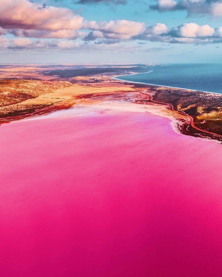 Рожеві води озера Хатт, Австралія