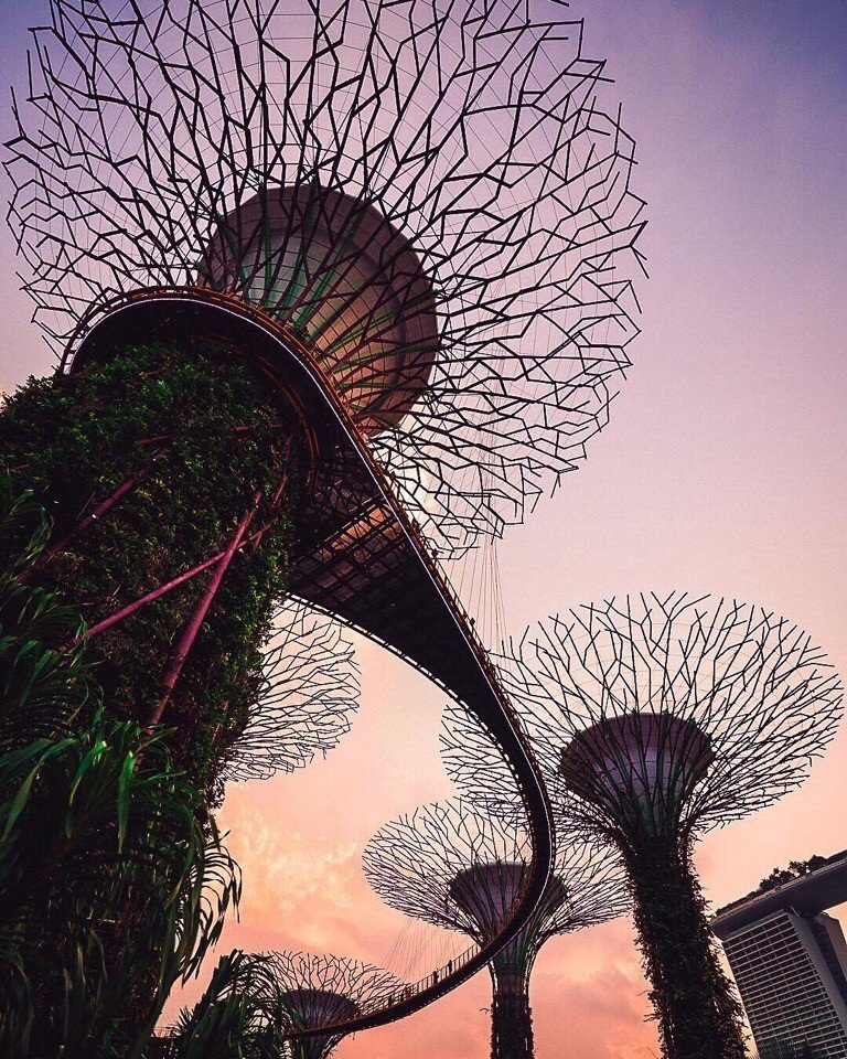 Футуристична архітектура Сінгапуру