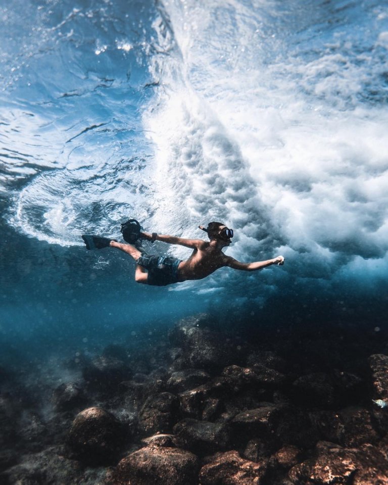 Sea World at the Hawaiian Islands