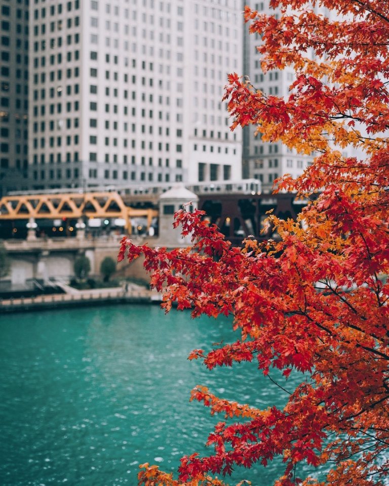 Краски осени в Чикаго