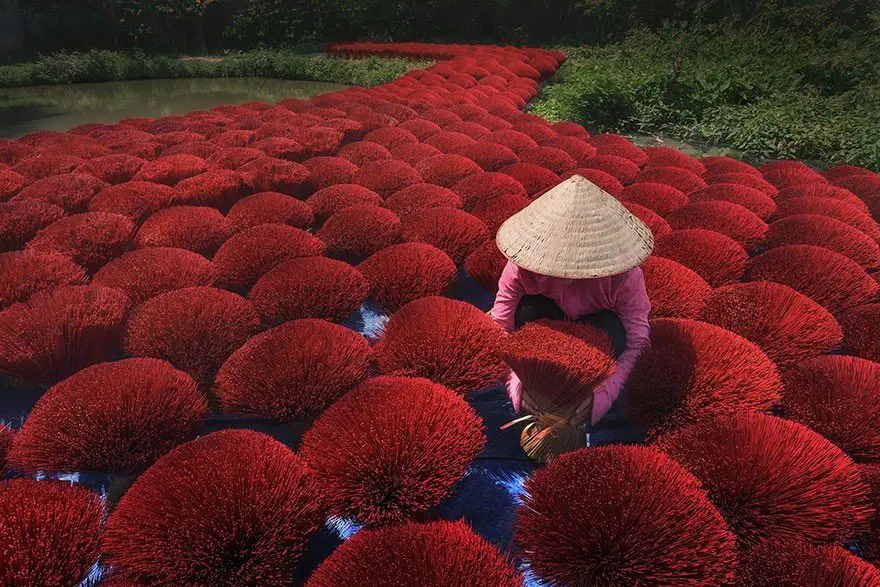 The best photos from the competition Siena International Photo Awards