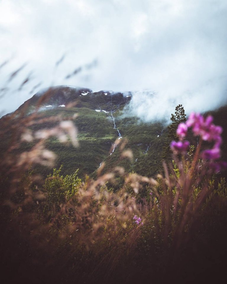 Pictures from which breathes freedom and freshness. Lofoten, Norway