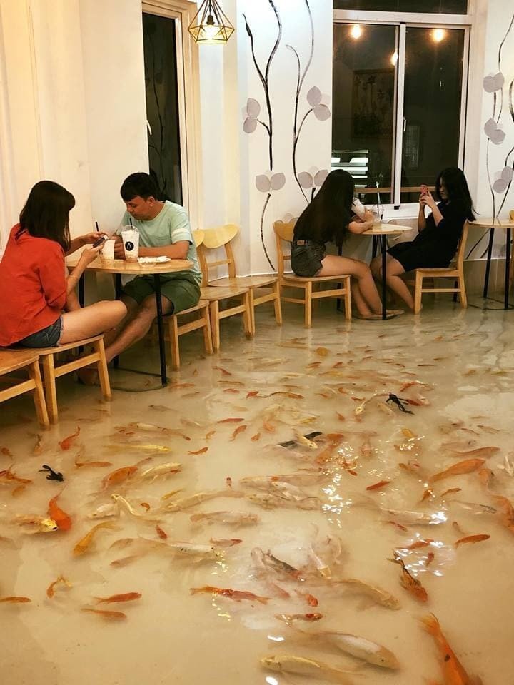 Кафе в Хошимине, в котором пол превратили в бассейн для рыбок