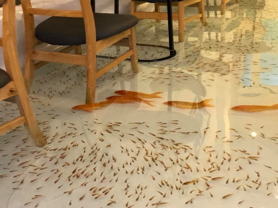 Cafe in Ho Chi Minh City, in which the floor was turned into a pool for fish