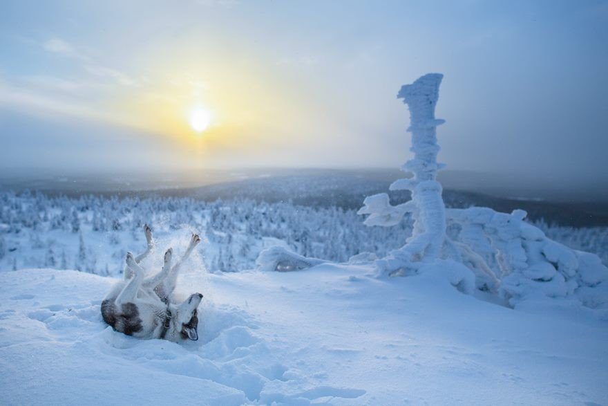 Вотчина Санта-Клауса, Лапландия