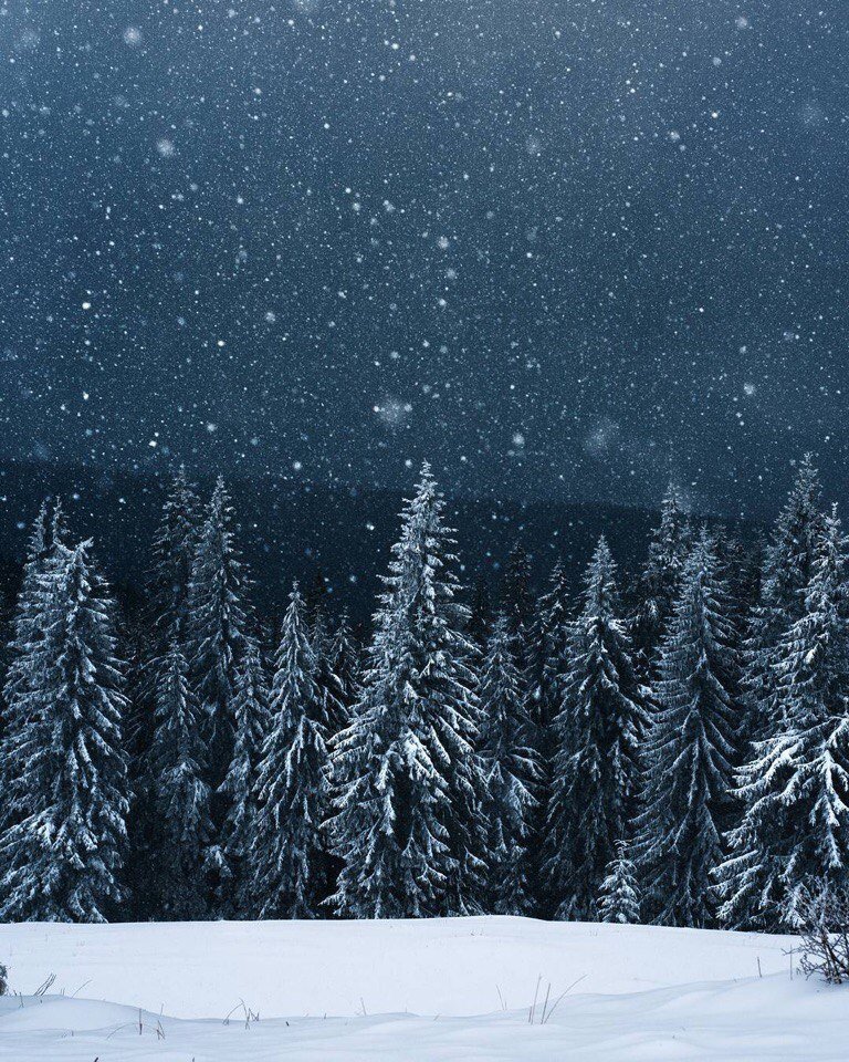 Зима в Карпатских горах