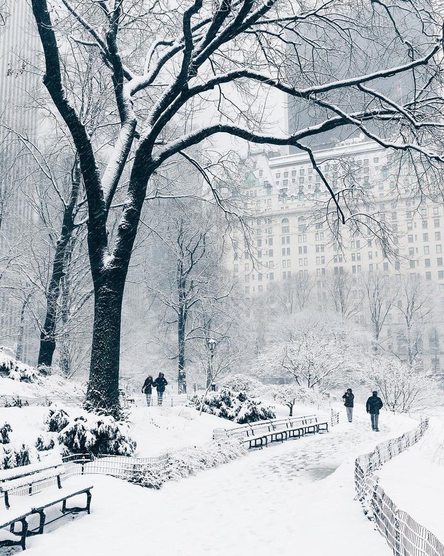 New York Winter