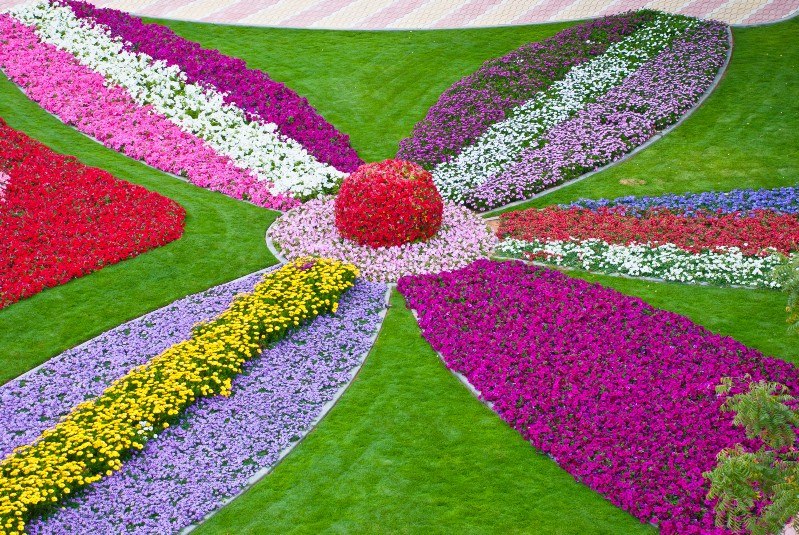 The largest flower in the world Al Ain Paradise Flower, Abu Dhabi, OAE