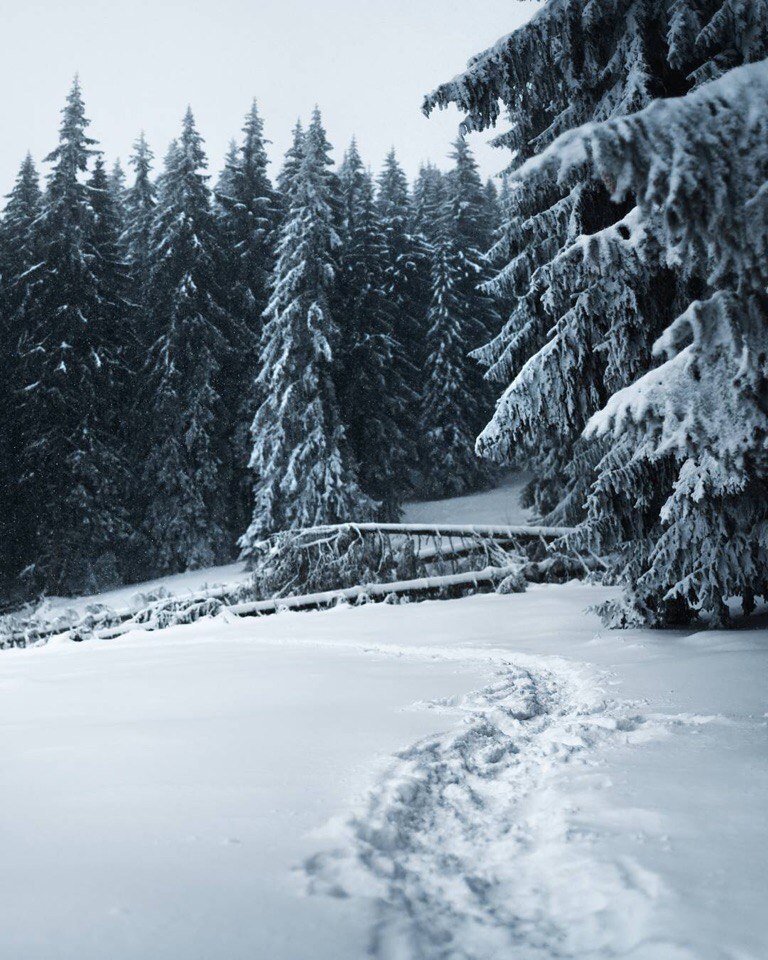 Зима в Карпатских горах