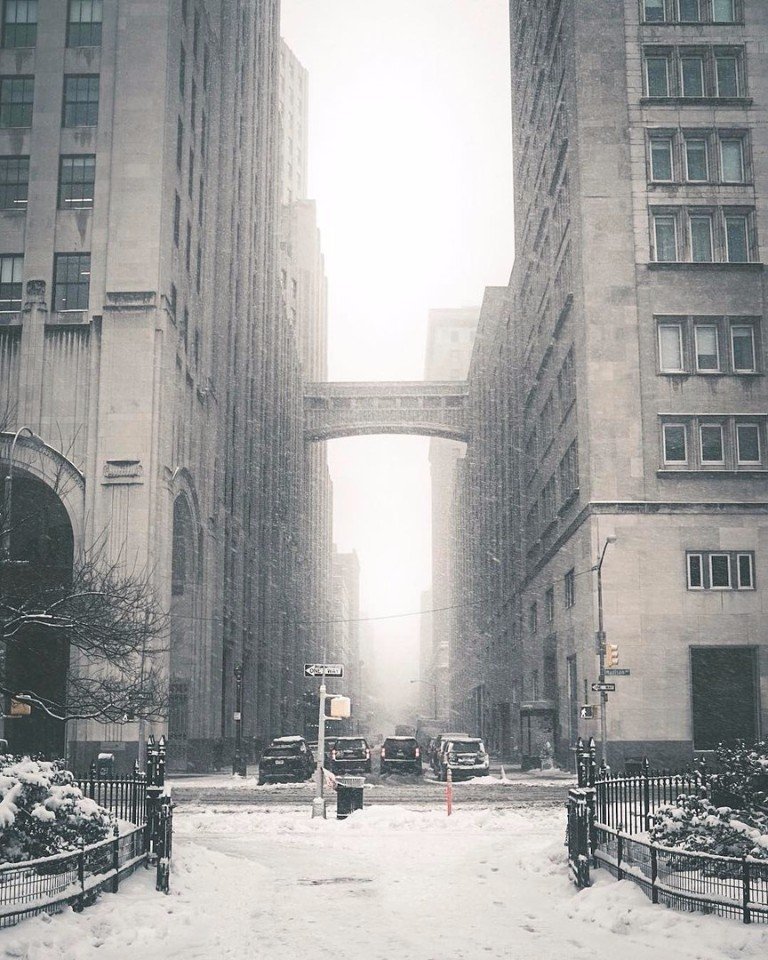 New York and snow are the perfect combination