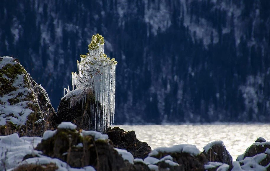 Красота замерзшей природы