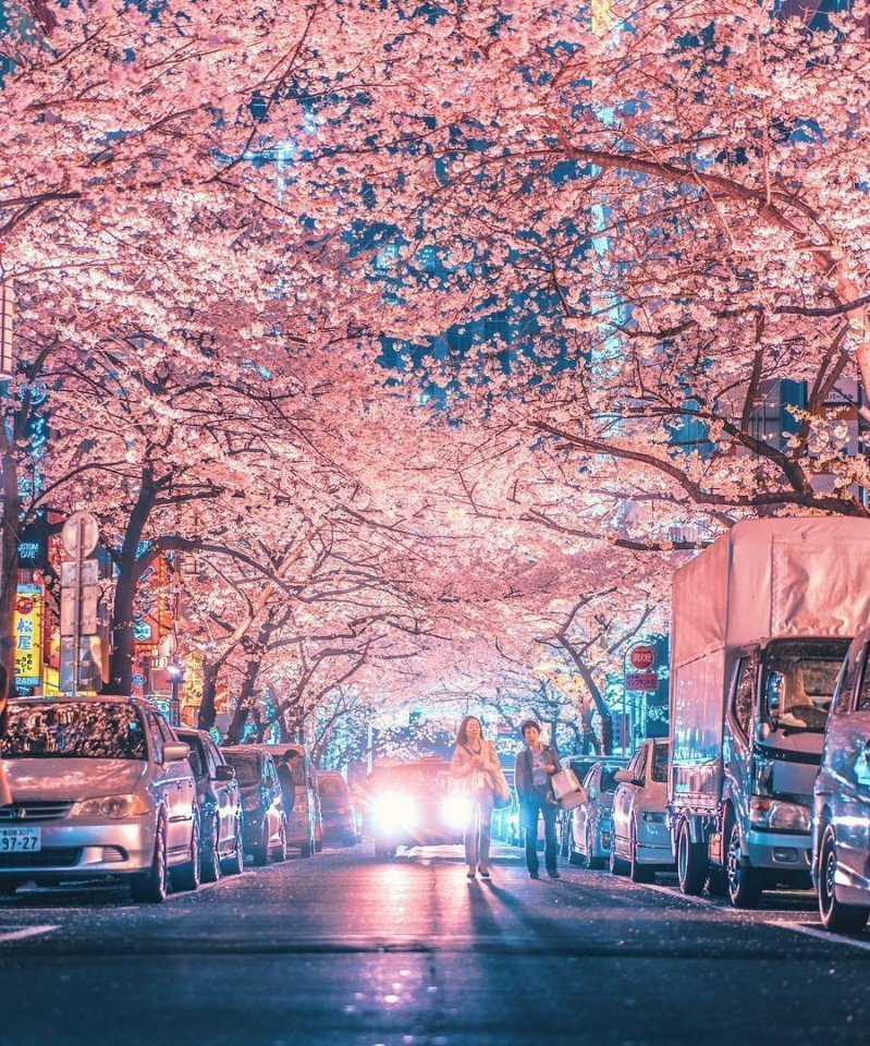 Токио - это гармоничное сочетание футуризма и традиций в обрамлении цветущей сакуры