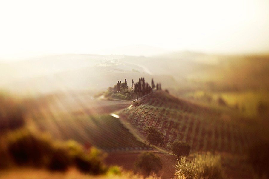 Fields of Tuscany, Italy