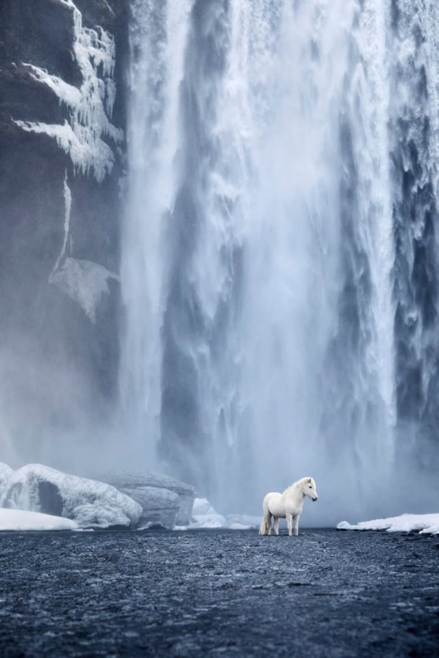 Grace and beauty, Iceland