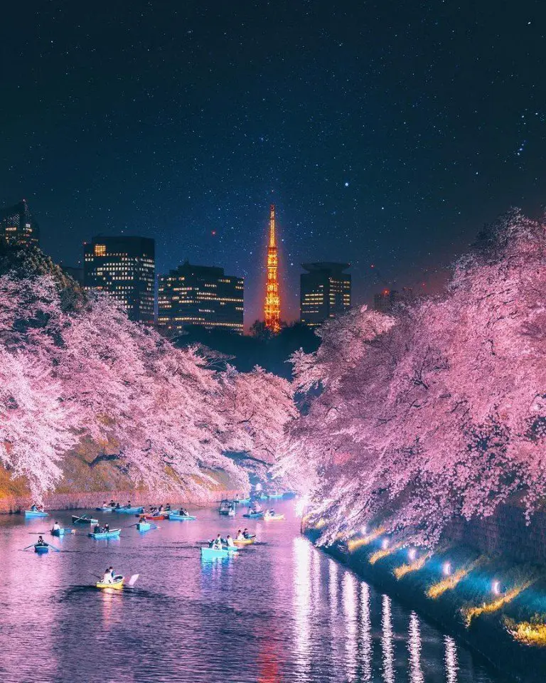 Tokyo is a harmonious combination of futurism and traditions framed by blossoming sakura