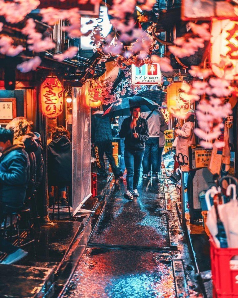 Токио - это гармоничное сочетание футуризма и традиций в обрамлении цветущей сакуры