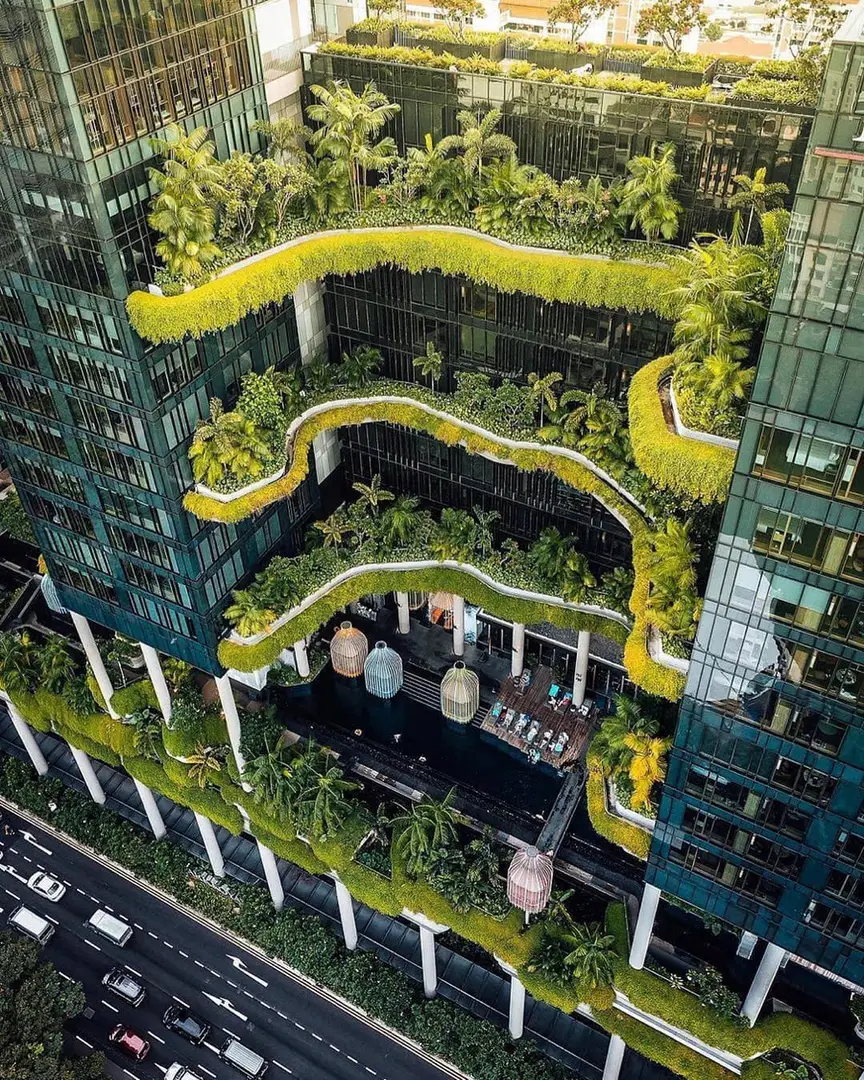 Singapore sinks in greenery .. Would you like to see those in our cities?