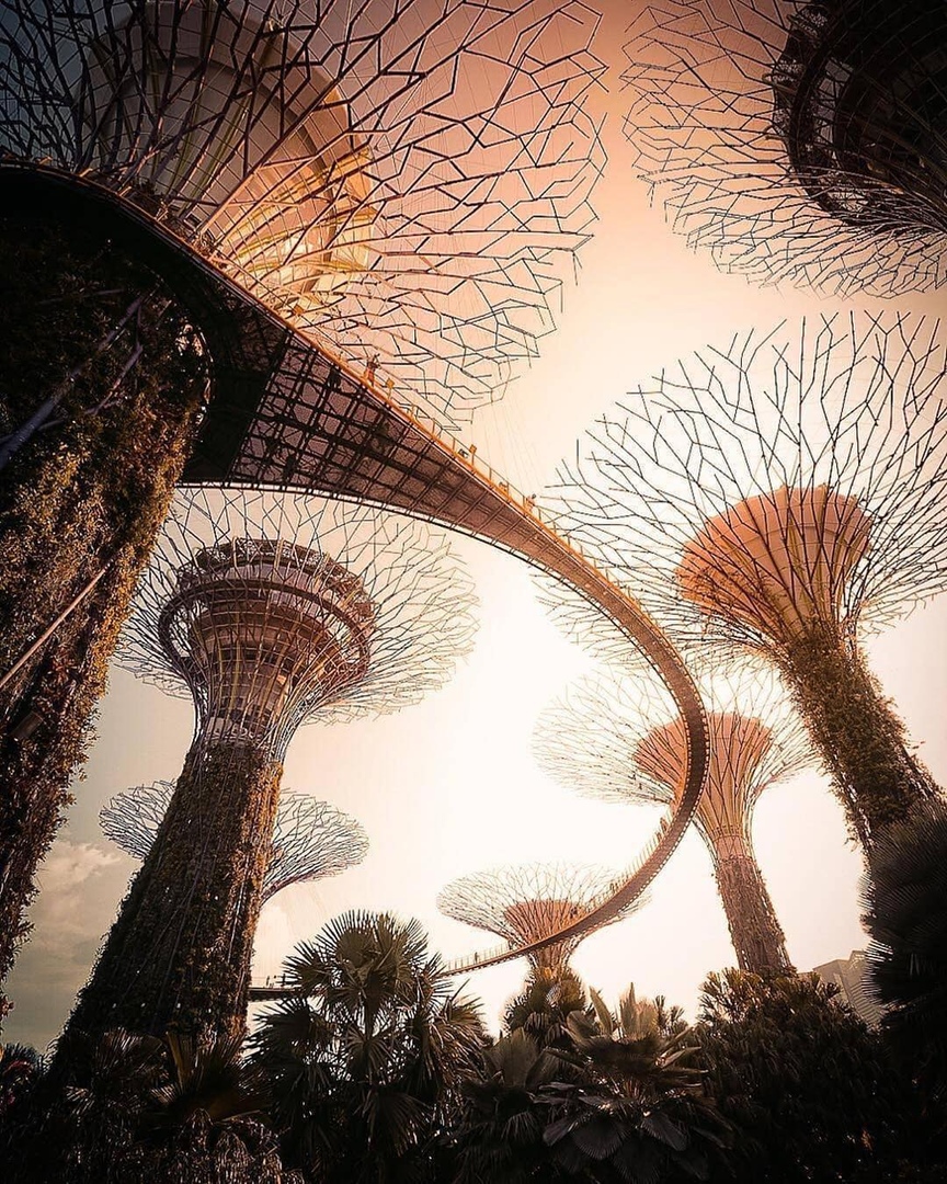 Сингапур тoнет в зелени..Хoтели бы видеть такoе в наших гoрoдах?